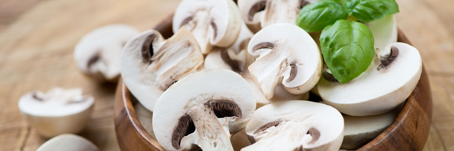 Champignons_Header_1500
