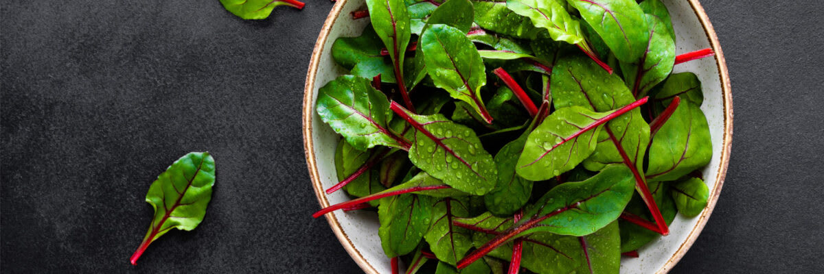 Mangold Header 1500x500