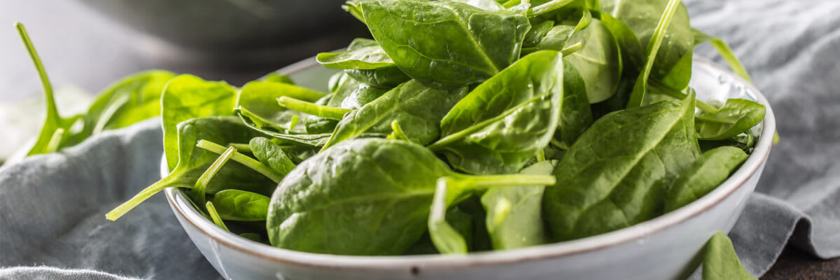 Spinat Header 1500x500