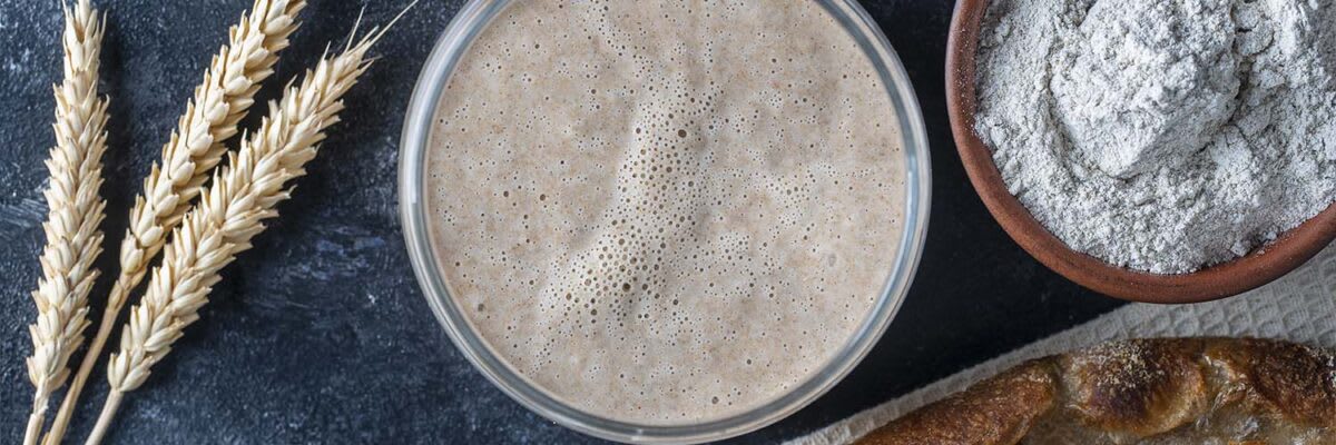 Sauerteig 1500