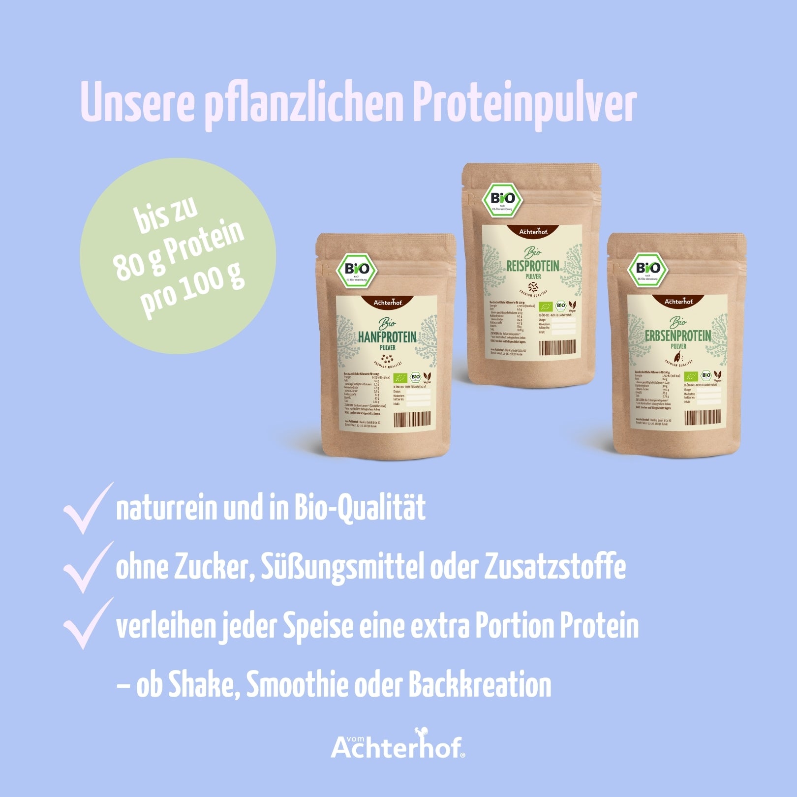 Reisprotein Pulver Bio (500g)