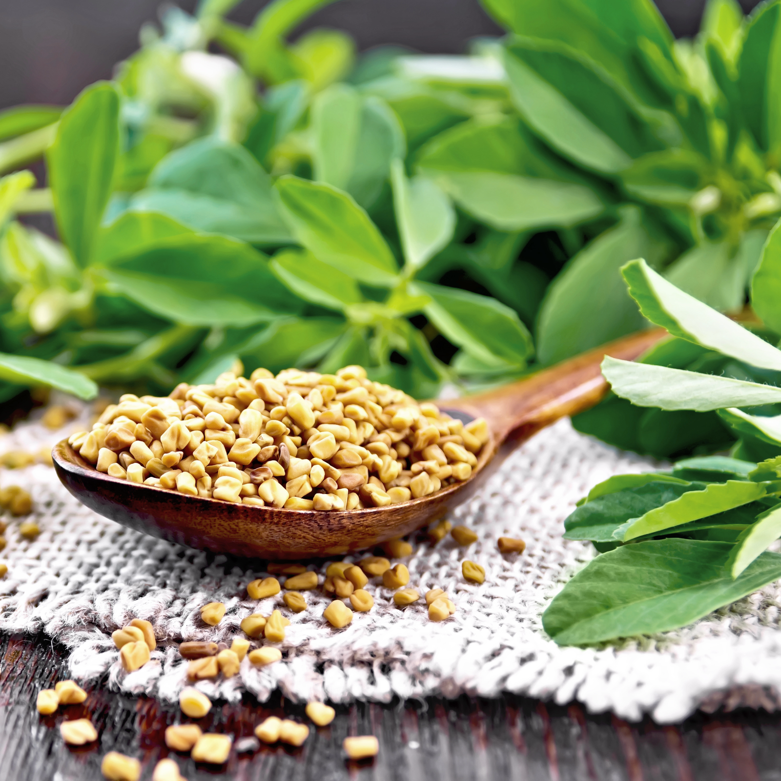 Bockshornklee Kapseln Bio (160 Kapseln)