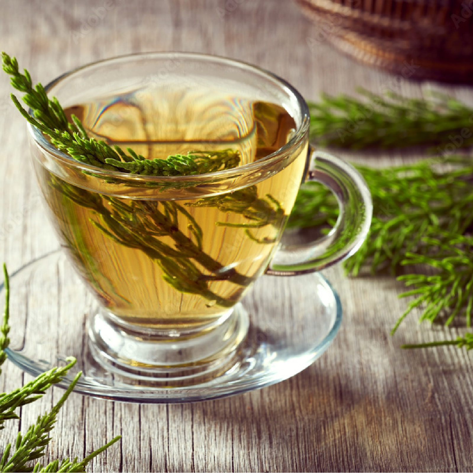 Schachtelhalmkraut geschnitten (250g)