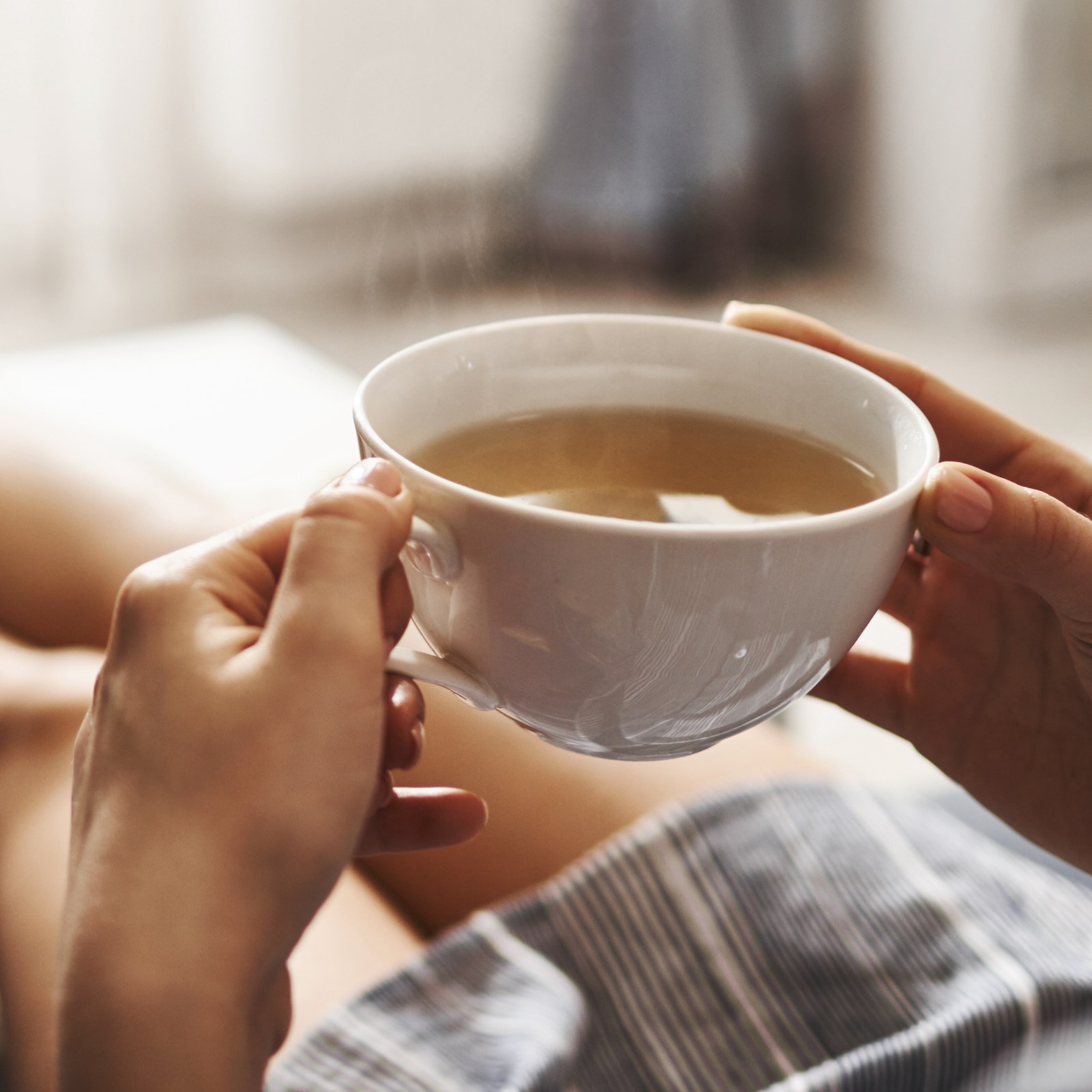 Schachtelhalmkraut geschnitten (100g)