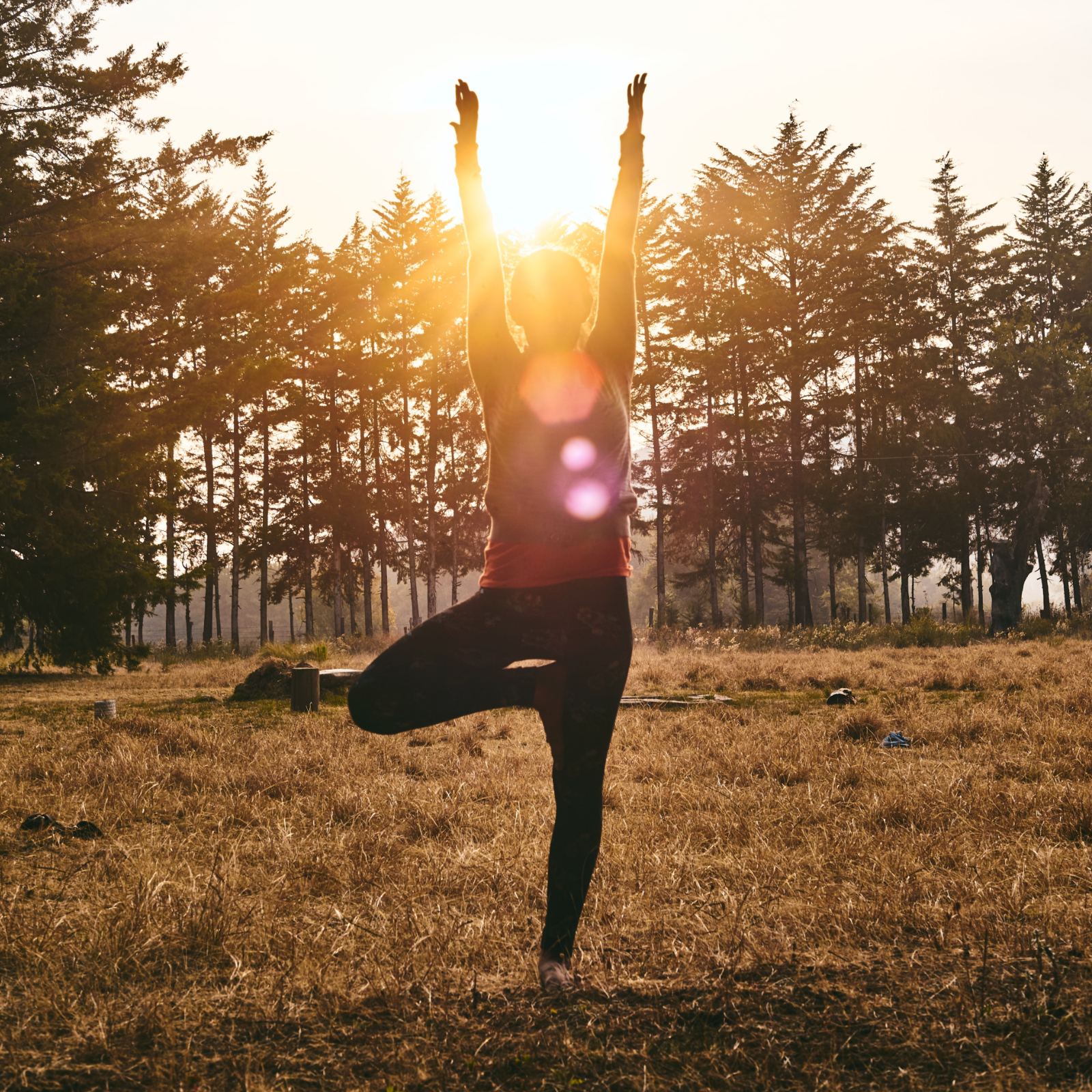 Goldene Milch Mischung 4er Bio Set – Maxi