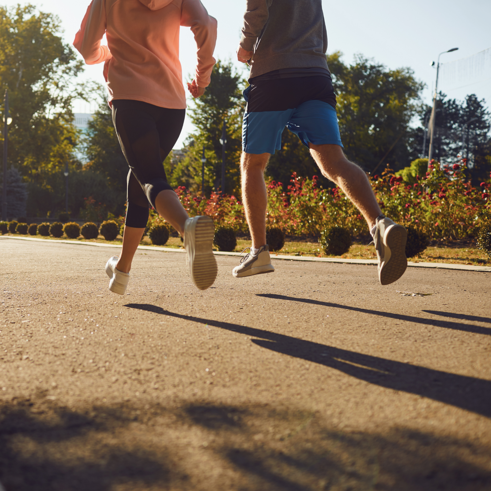 Magnesium Komplex Kapseln (180 Kapseln)