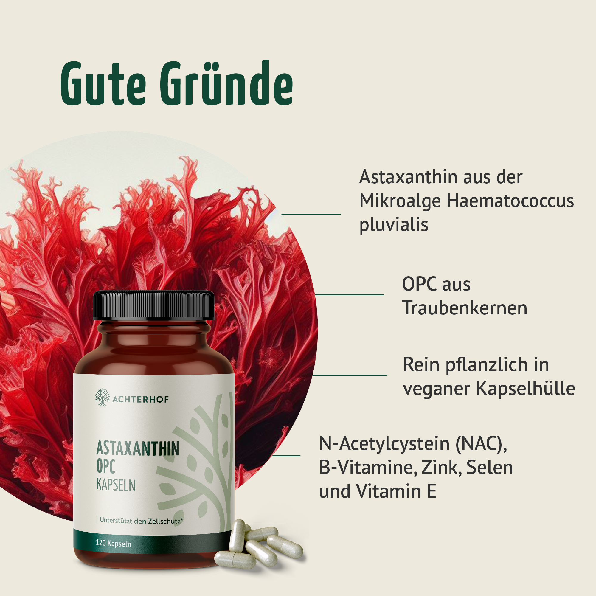 Astaxanthin OPC Zellschutz Kapseln (120 Kapseln)