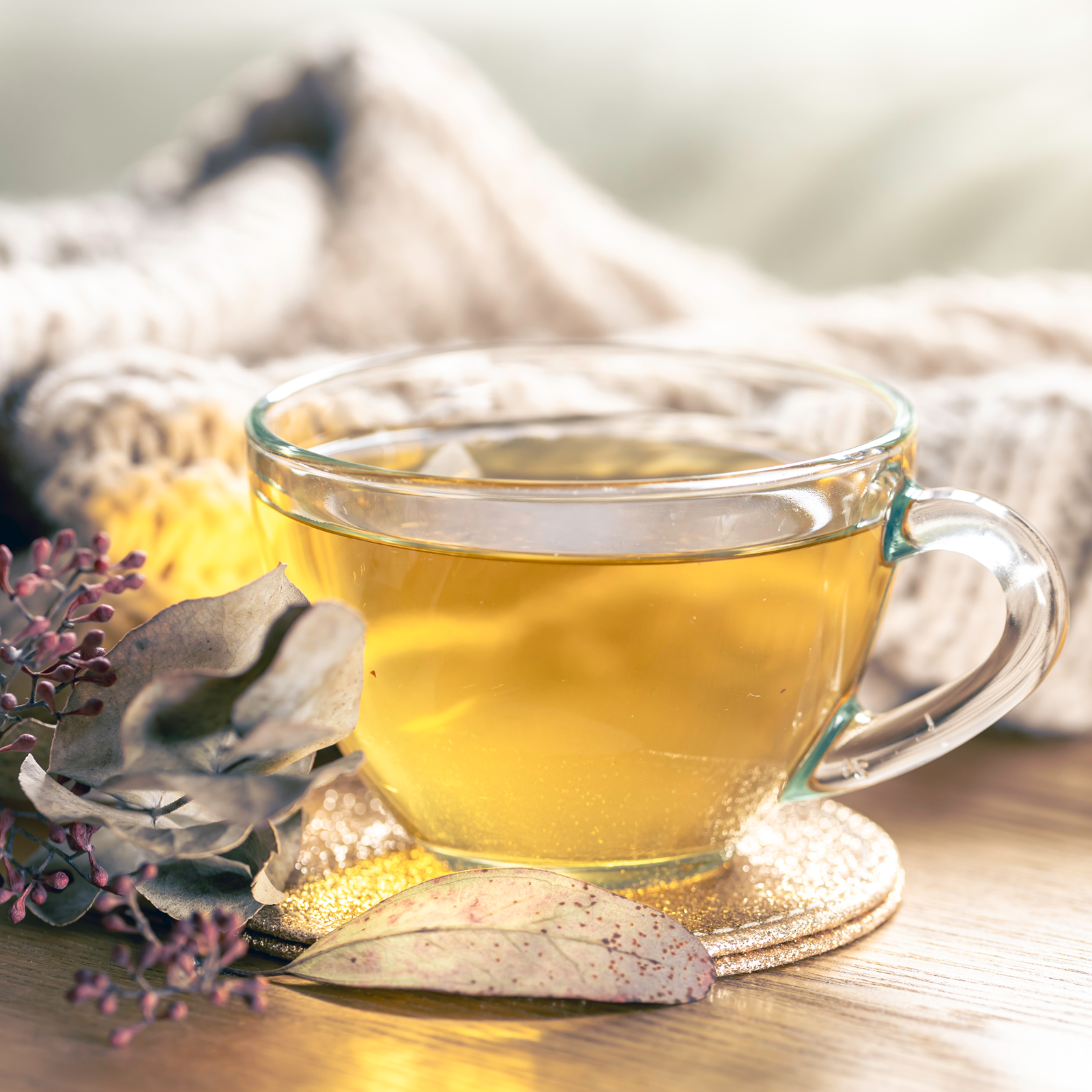 Birkenblätter geschnitten (100g)