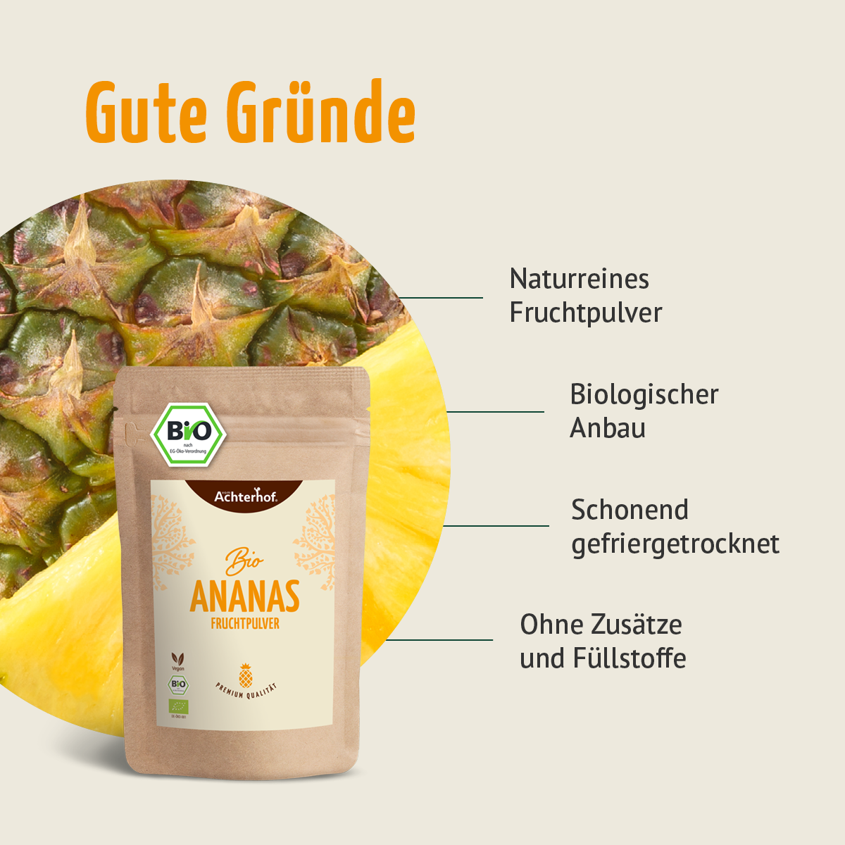 Bio Ananas Fruchtpulver (250g)