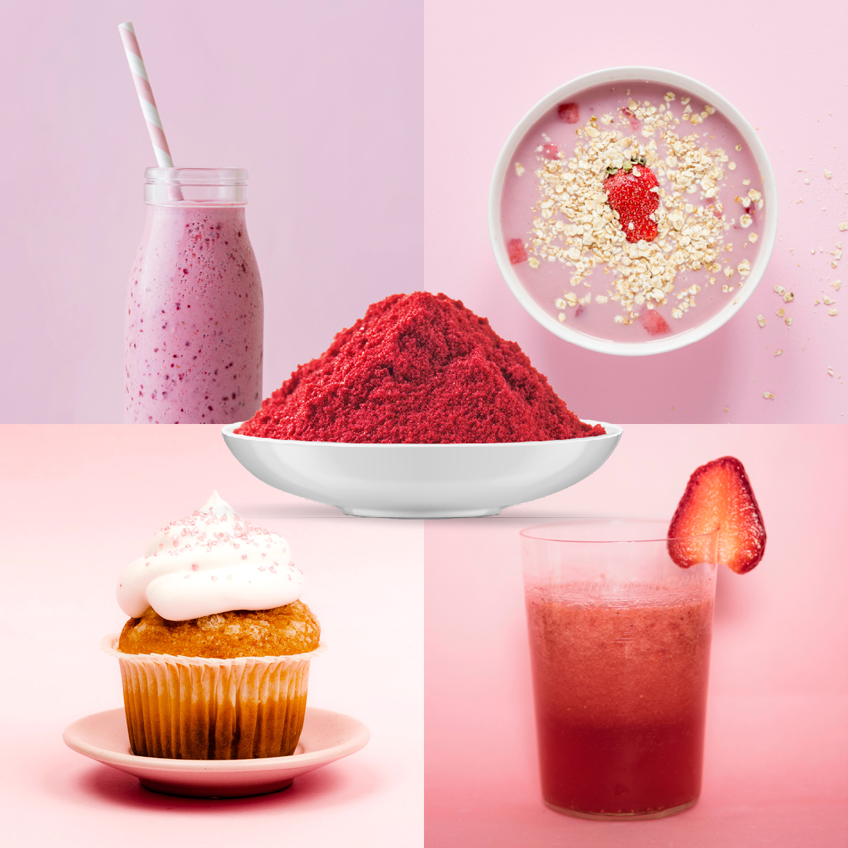 Bio Erdbeere Fruchtpulver (100g)