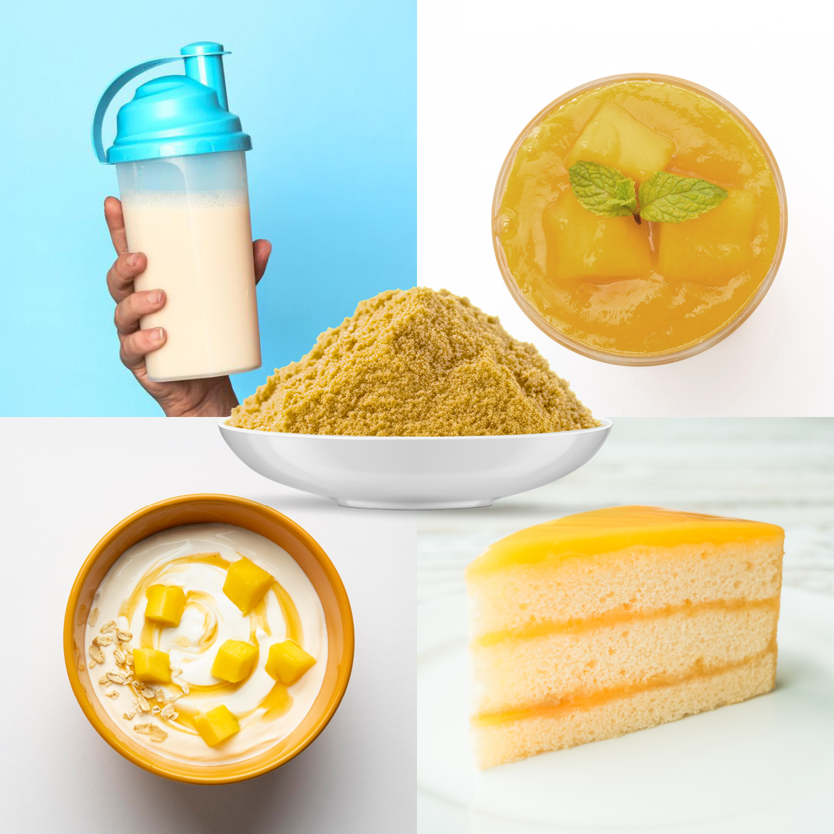 Bio Mango Fruchtpulver (100g)