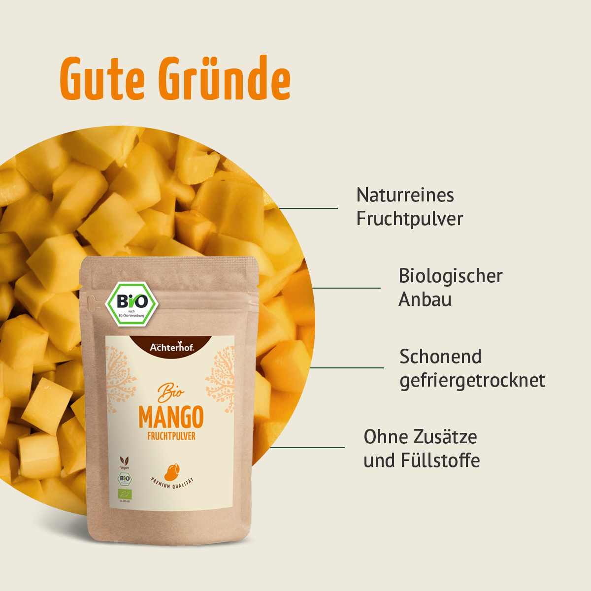 Bio Mango Matcha Set