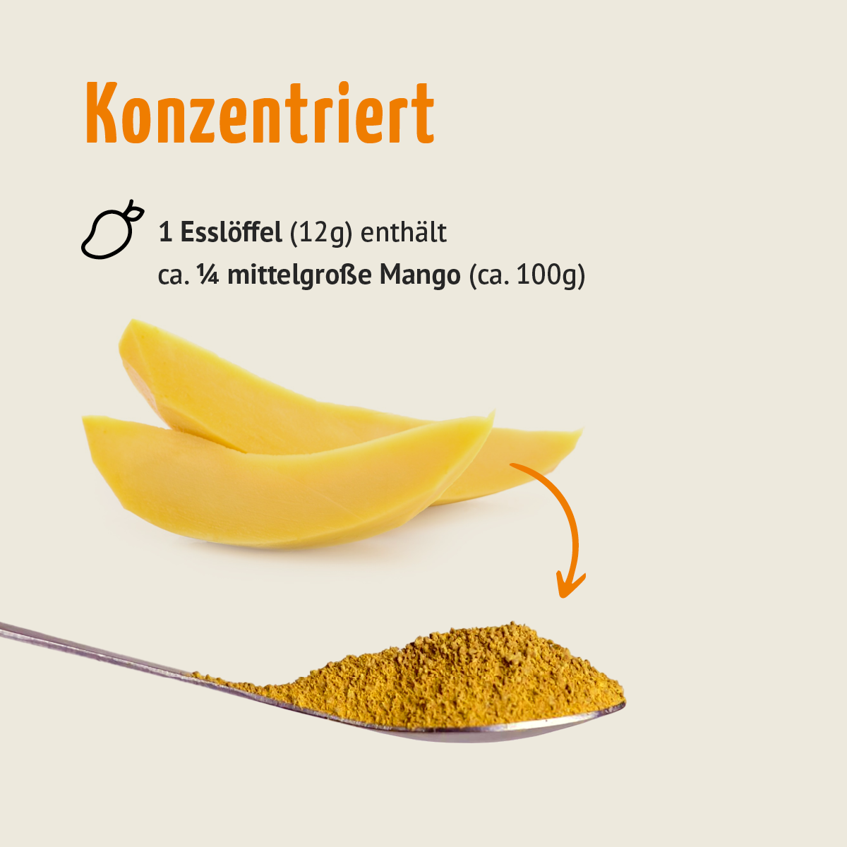 Bio Mango Fruchtpulver (100g)