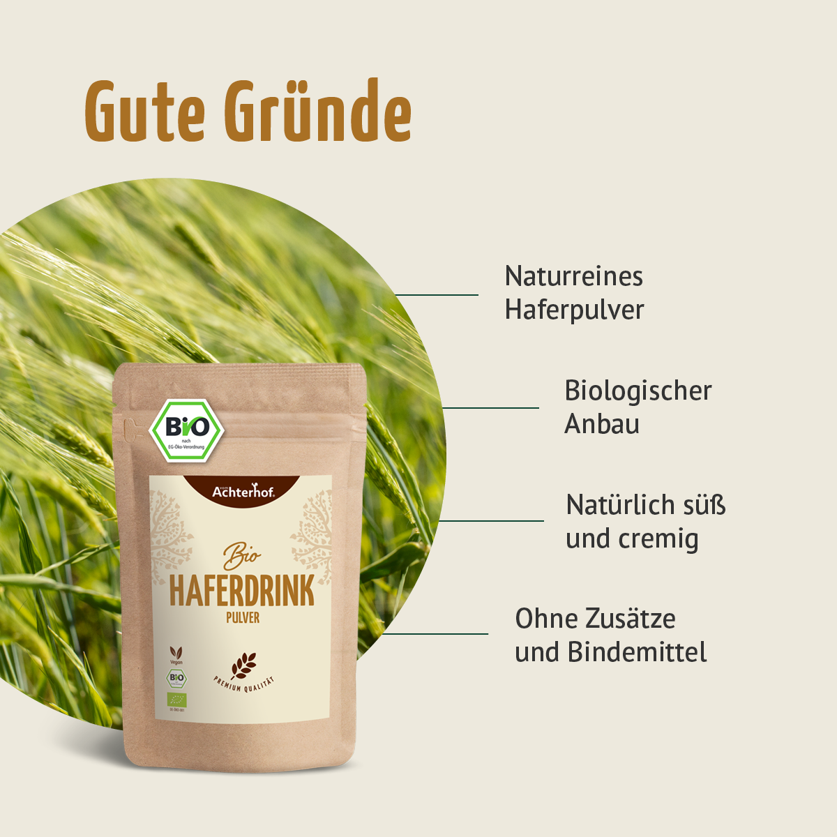 Protein Matcha Latte Set