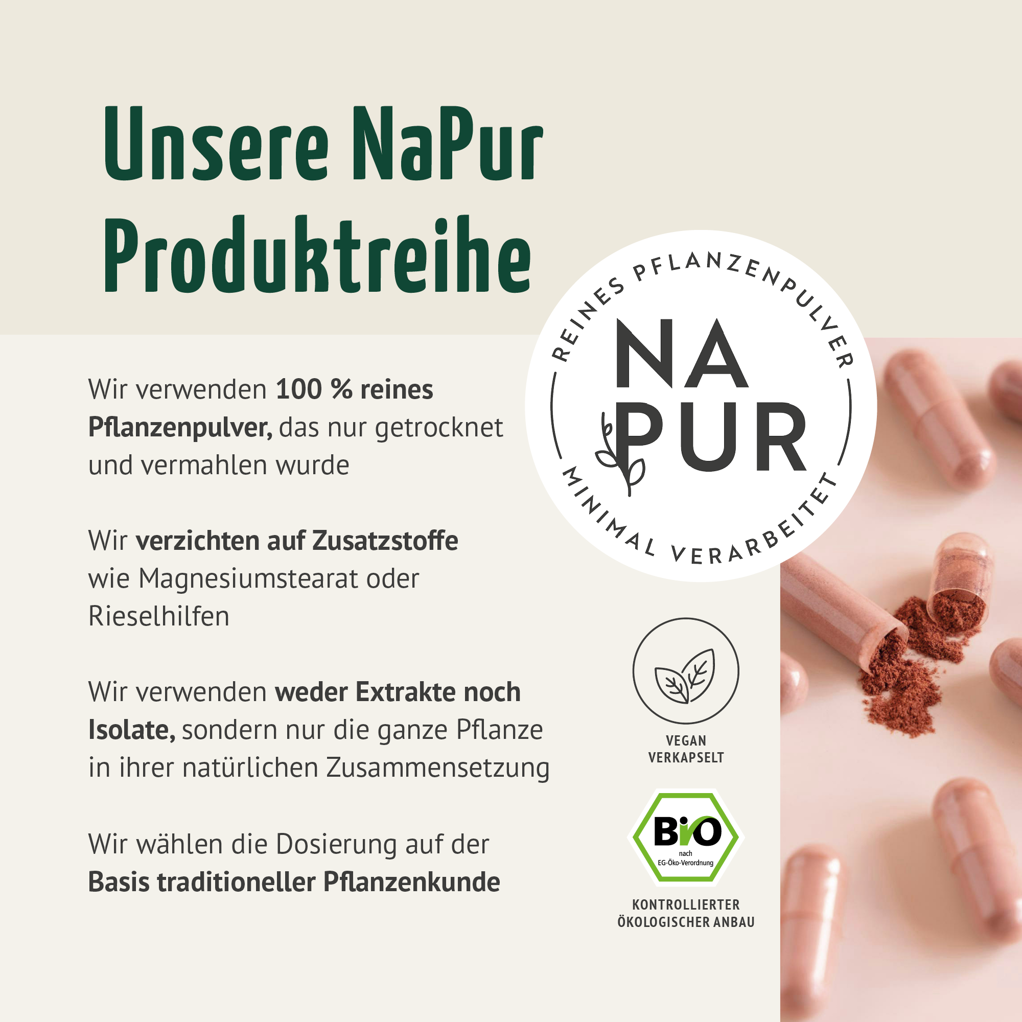 Bio Hagebutten Kapseln Nachfüllpack (400 Kapseln)