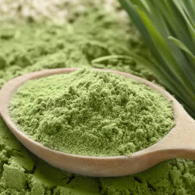 https___vom-achterhof-ch.blog.vitafy.de_wp-content_uploads_sites_13_2023_12_Gerstengras-600x600-1.jpg__PID:ac765dae-2793-4b8e-a9e1-9a4fe4cac673