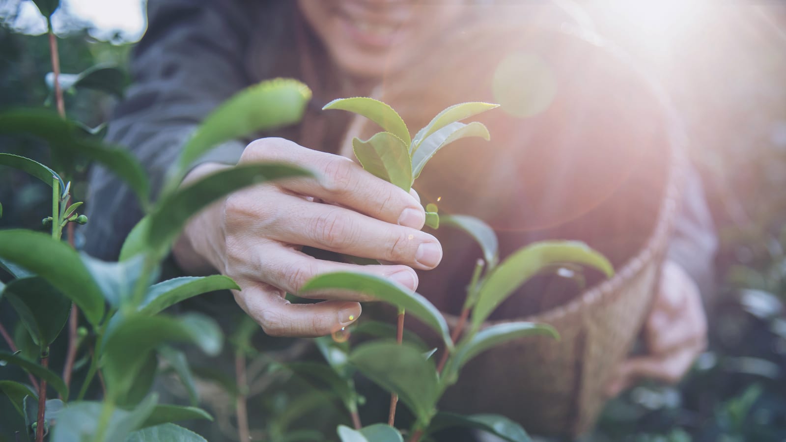 https___vom-achterhof.blog.vitafy.de_wp-content_uploads_sites_12_2021_12_16zu9_Nachhaltigkeit_FairTrade_2.jpeg__PID:9ae2bdbd-1654-41c1-bb54-ef7caa8e6d73