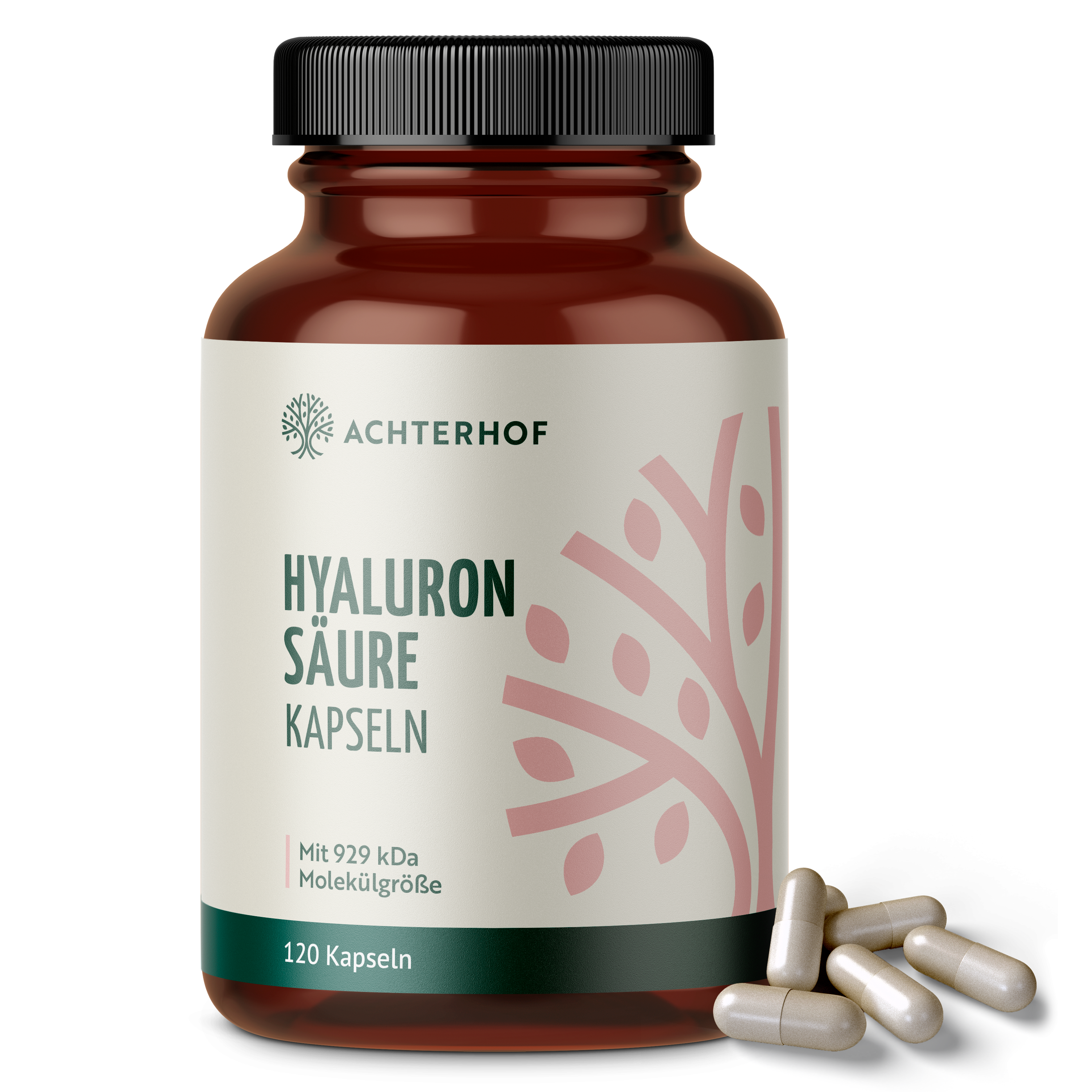 Hyaluronsäure Kapseln (120 Kapseln)