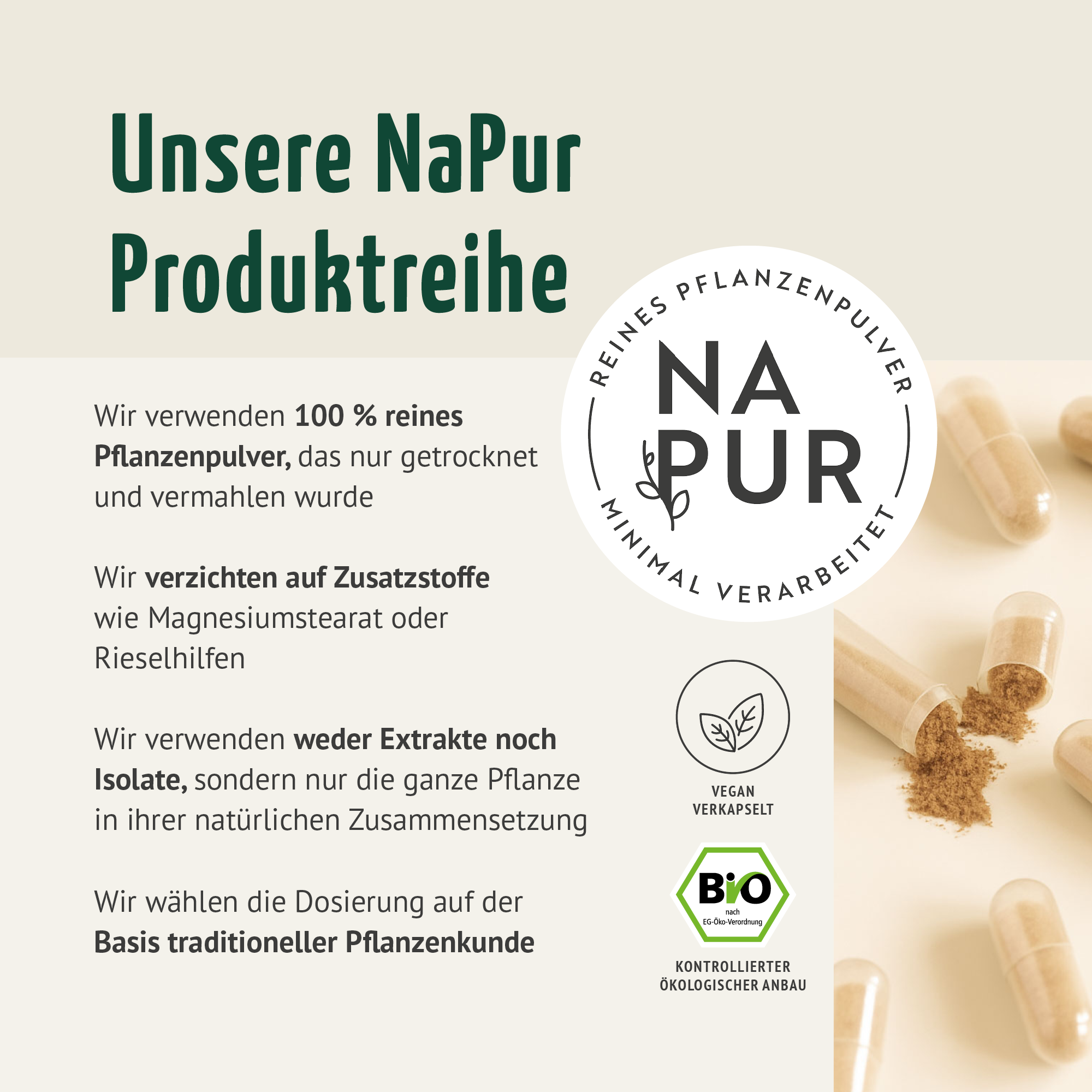 Ingwer Kapseln Bio Nachfüllpack (400 Kapseln)