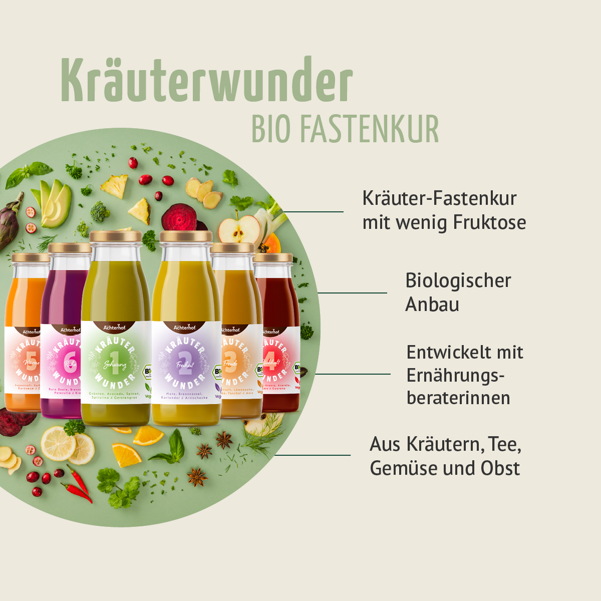 Kräuterwunder Bio Fastenkur 3 Tage (18 Flaschen)