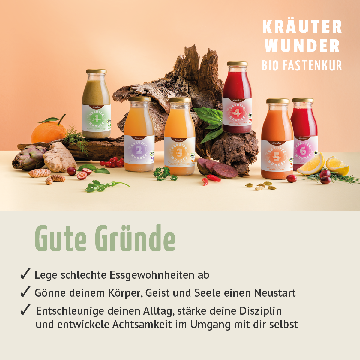 Kräuterwunder Bio Fastenkur 5+1 Tag gratis