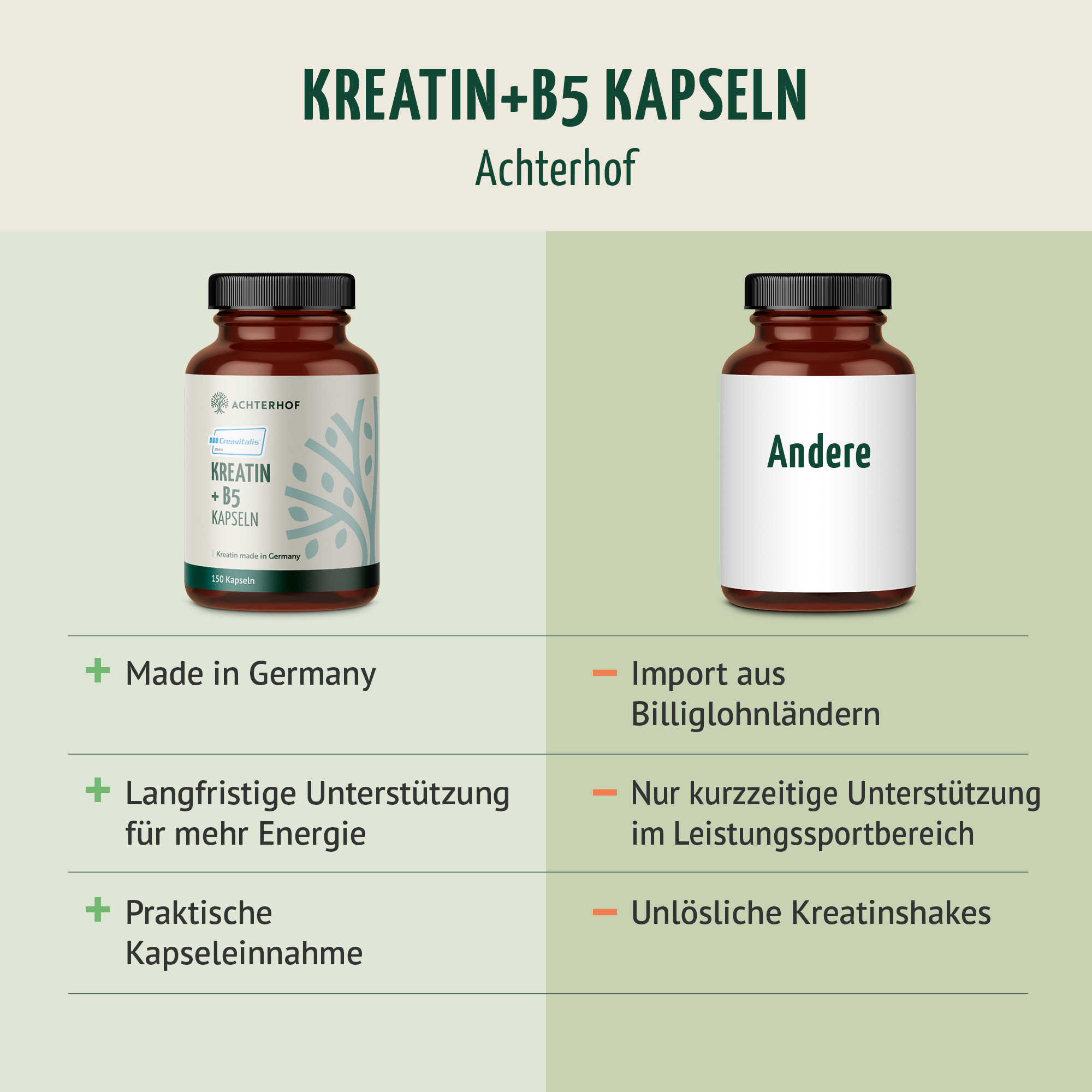 Creavitalis® Kreatin+B5 Kapseln (150 Kapseln)