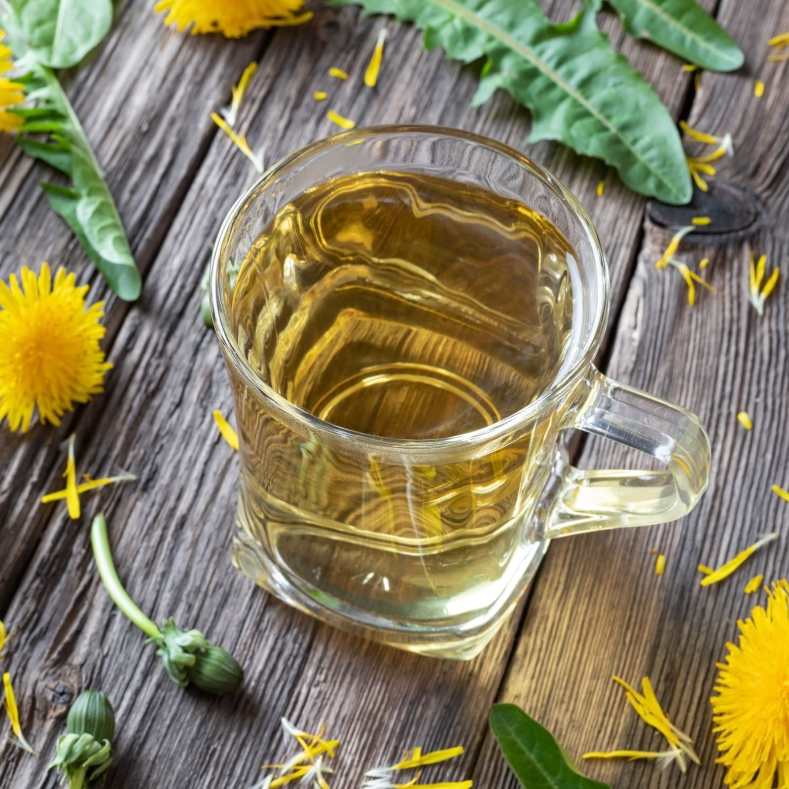 Löwenzahnblätter geschnitten (1000g)