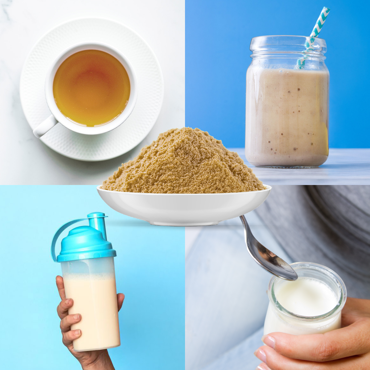 Bio Lions Mane Pilzpulver (250g)