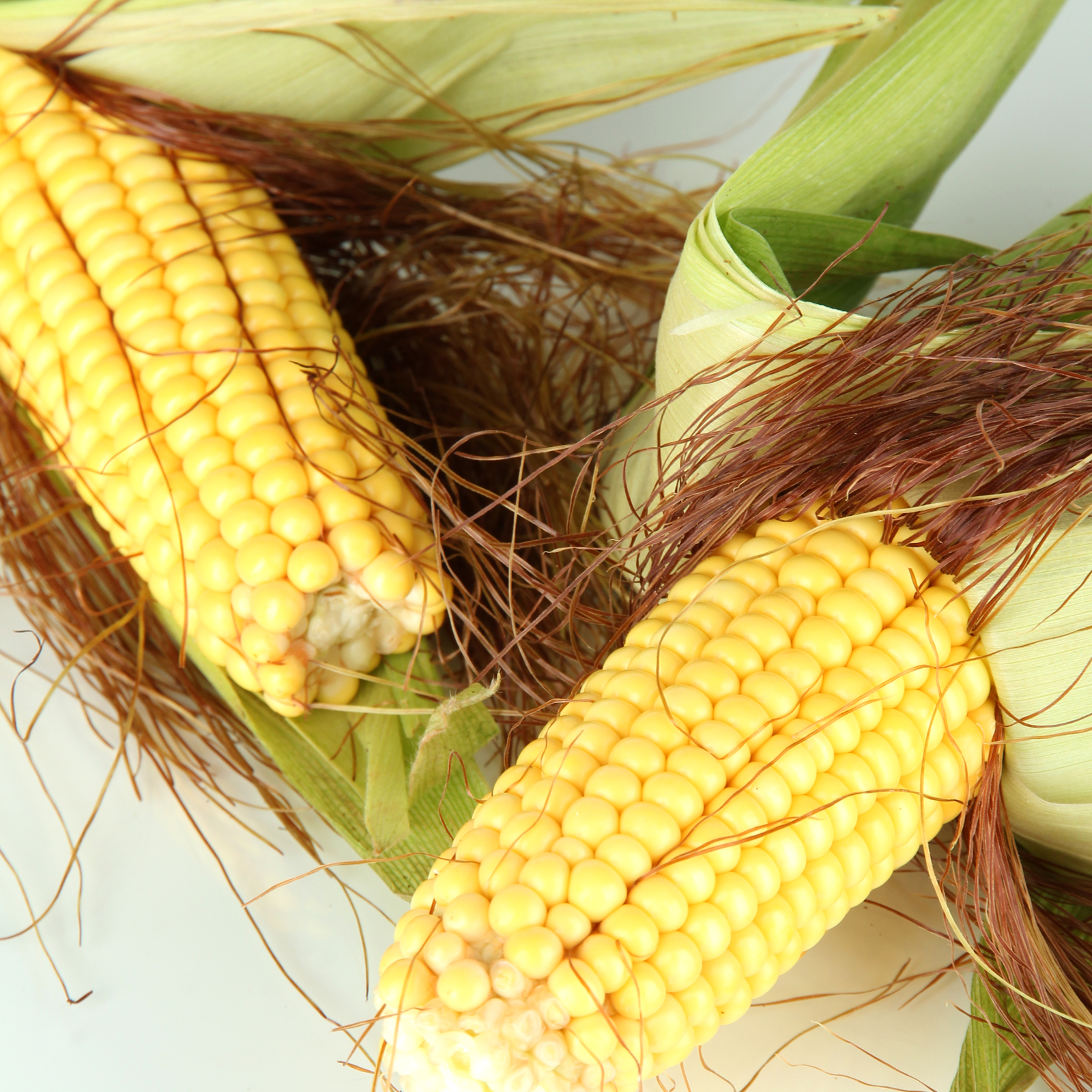 Maisbart geschnitten (500g)