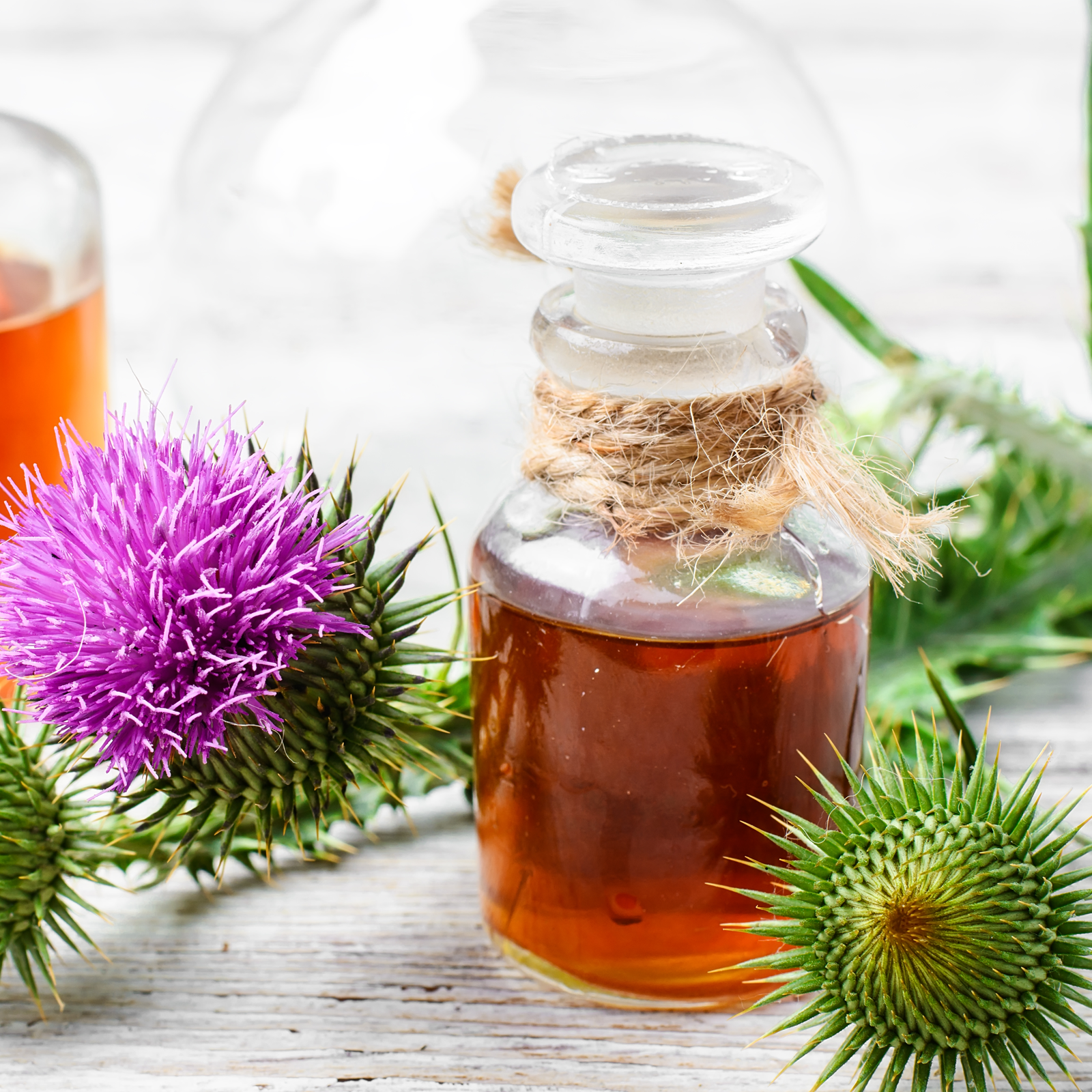 Mariendistelkraut geschnitten (1000g)