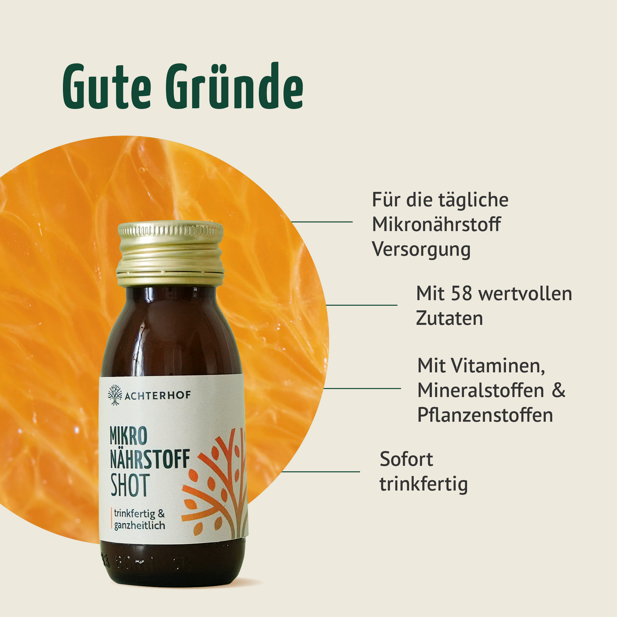 Fasten Mikronährstoff Paket