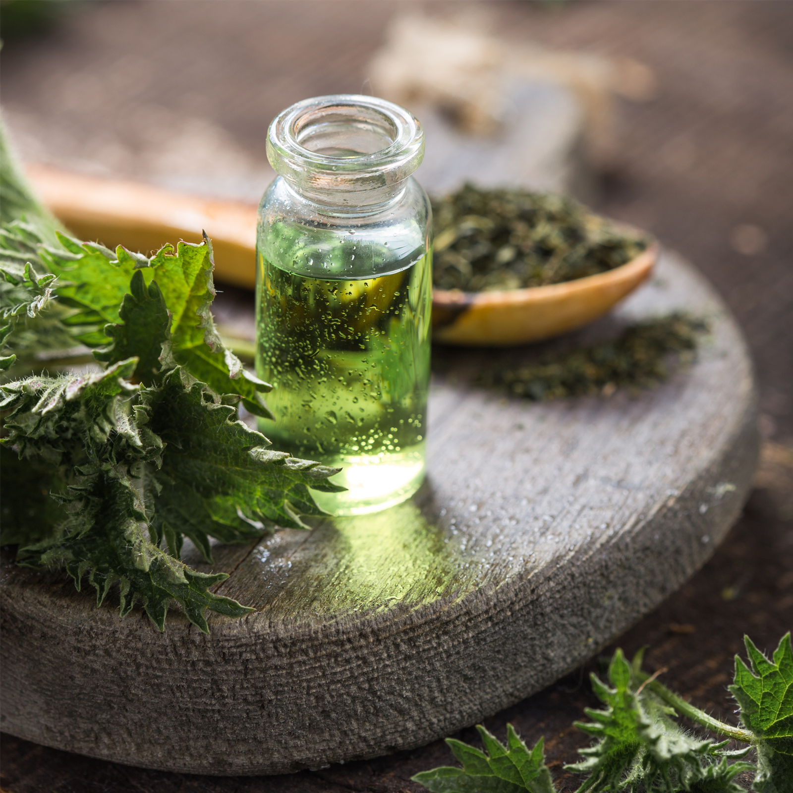 Brennnesselwurzel geschnitten Bio (250g)