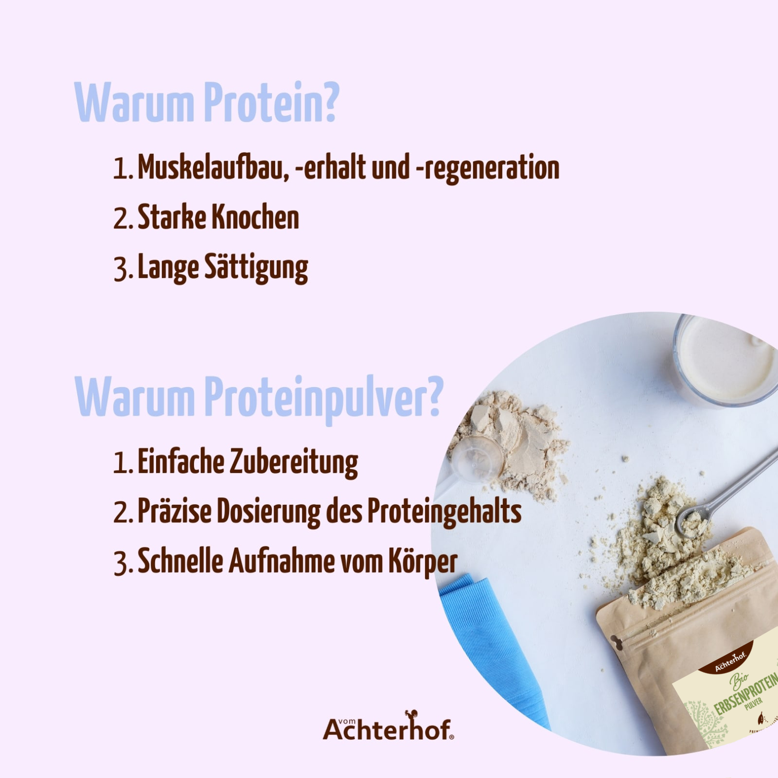 Erbsenprotein Pulver Bio (500g)