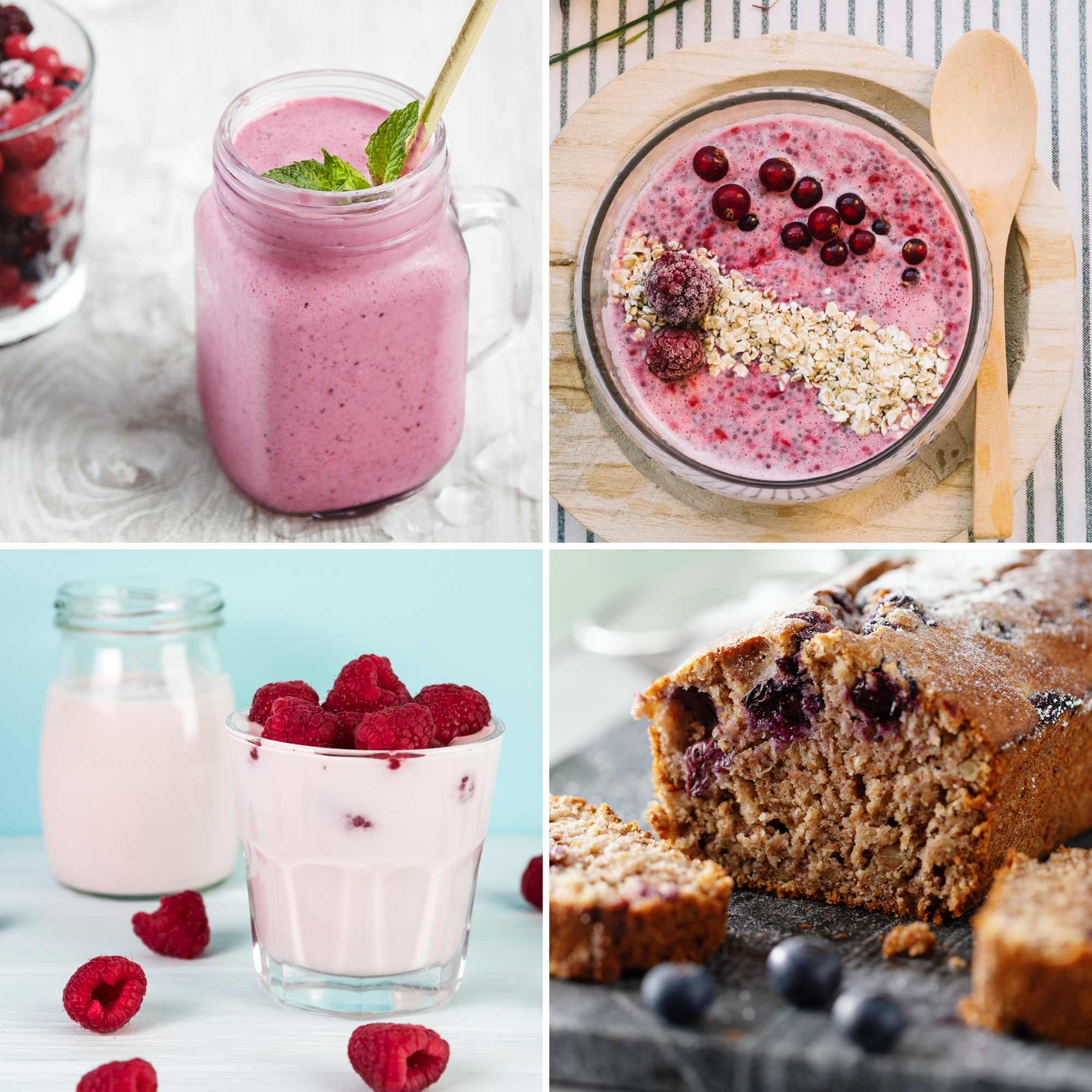 Bio Protein Mix rote Beeren (250g)