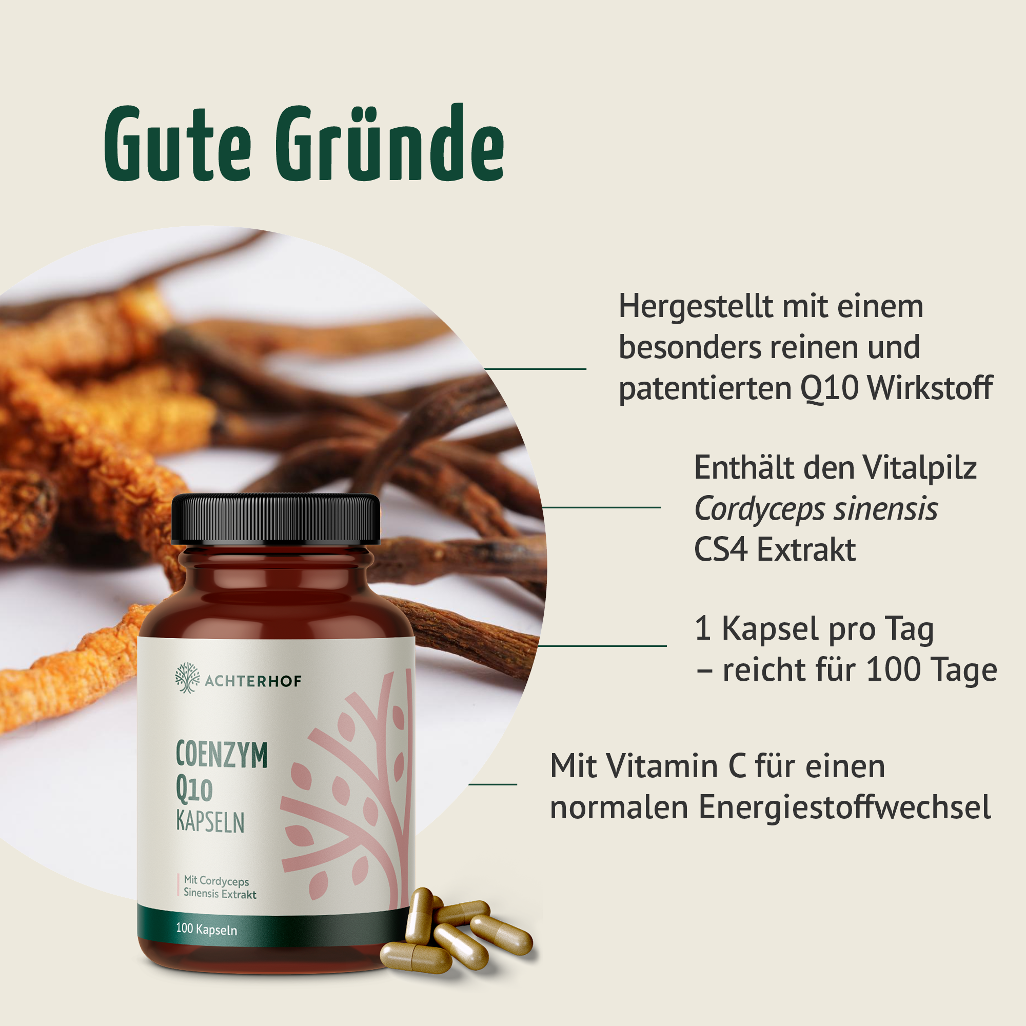 Coenzym Q10 Cordyceps (100 Kapseln)