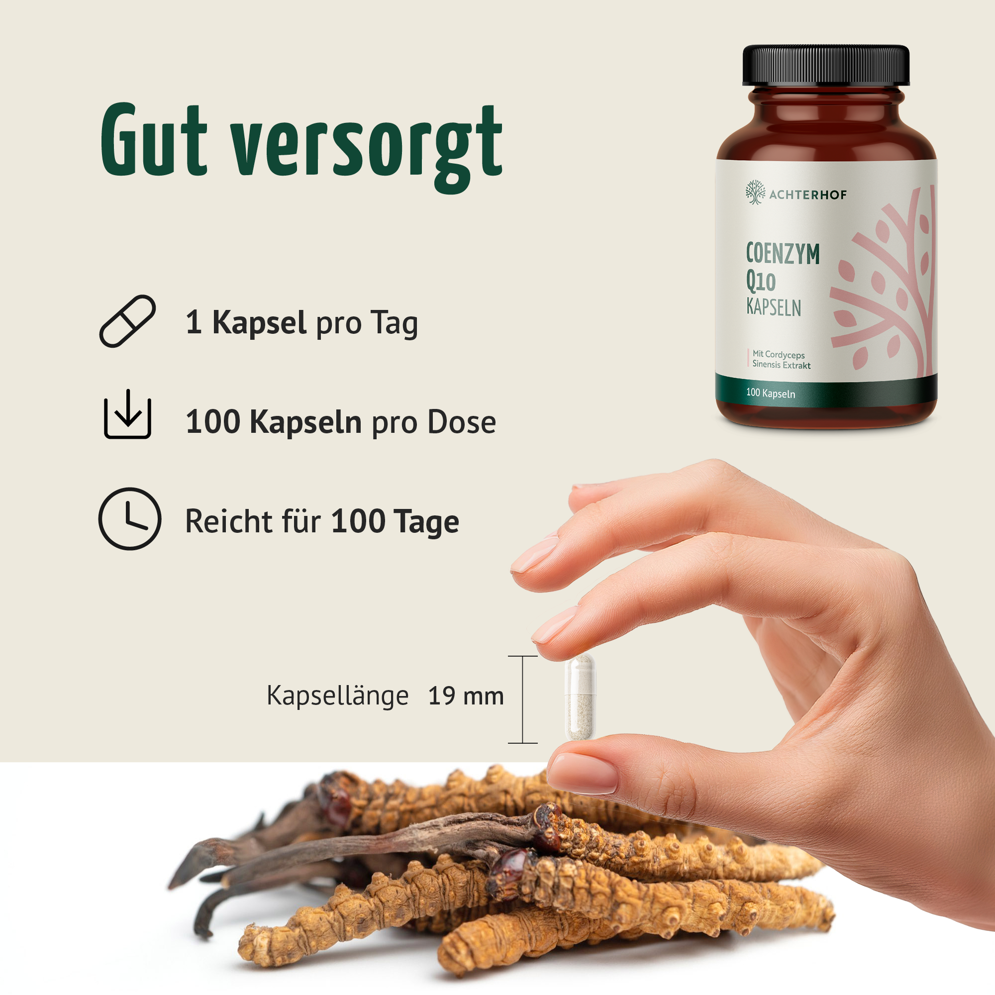 Coenzym Q10 Cordyceps (100 Kapseln)