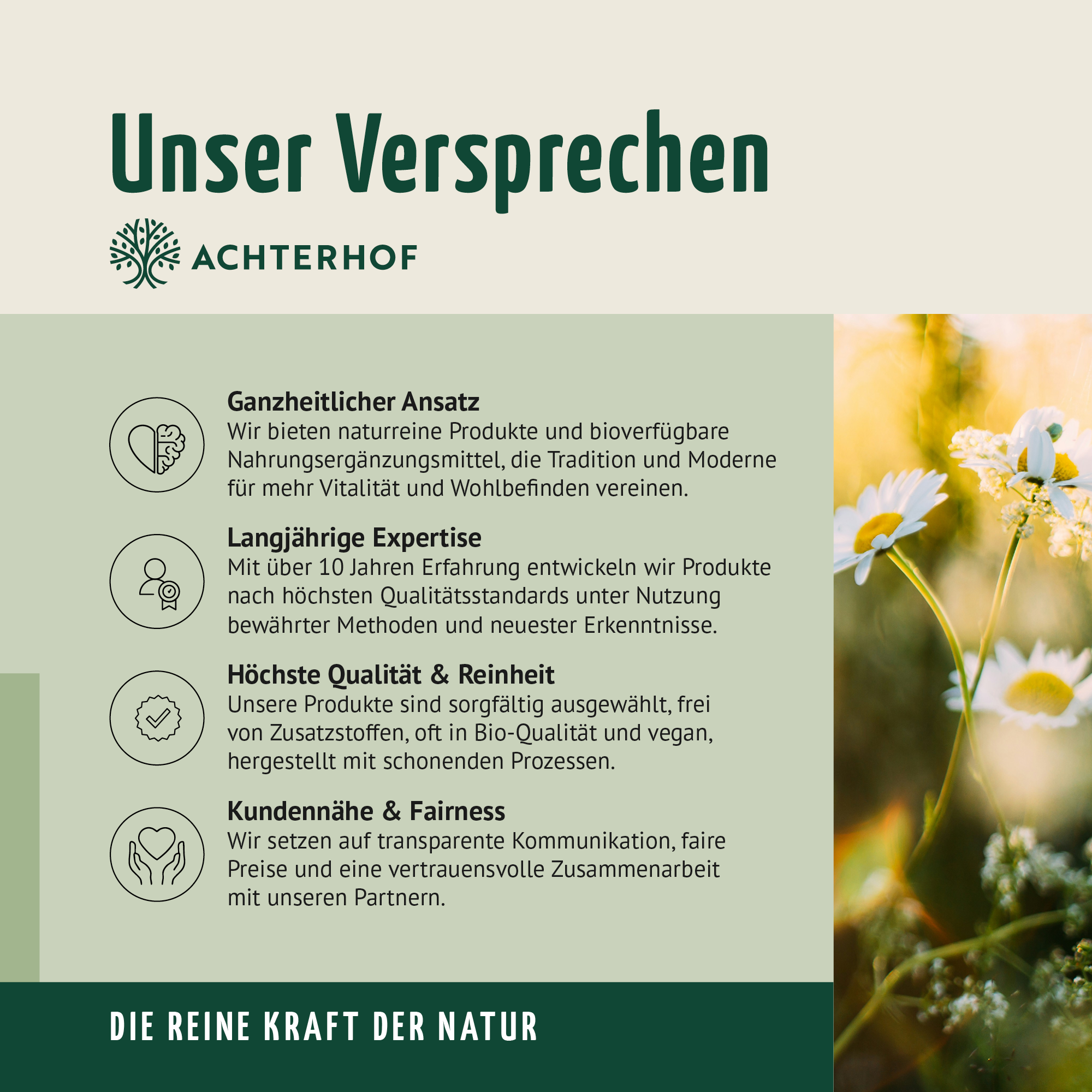 Coenzym Q10 Cordyceps (100 Kapseln)