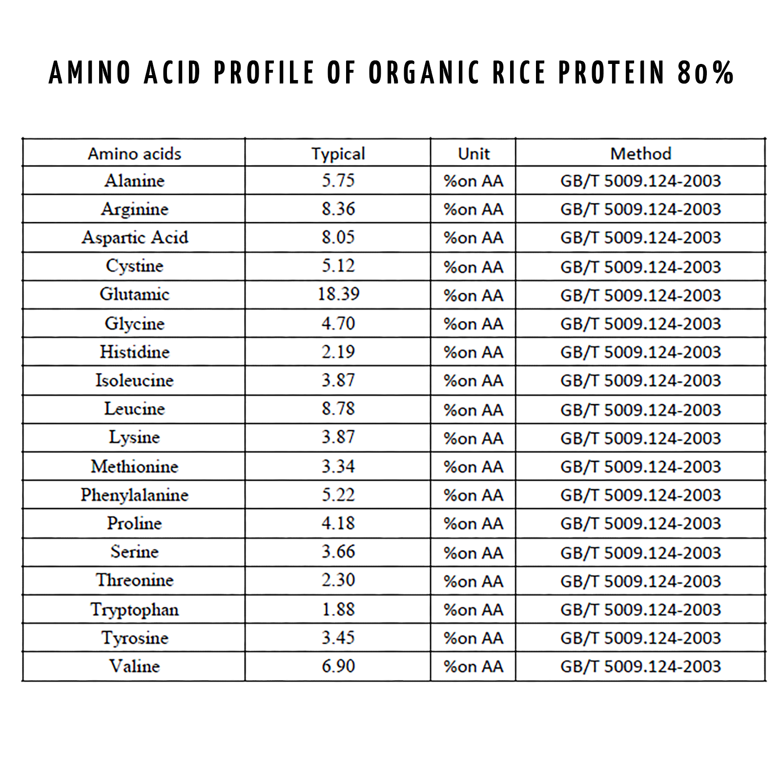 Protein + Kakao Bio Set – Maxi