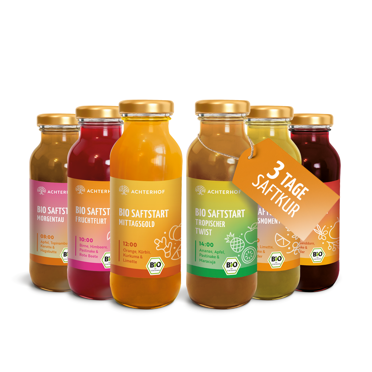 Saftstart Bio Fastenkur 3 Tage (18 Flaschen)