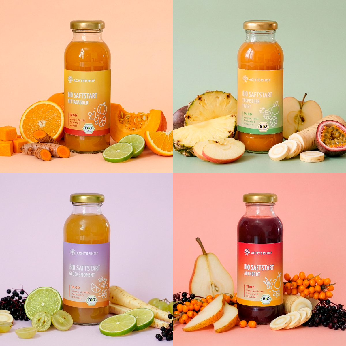 Saftstart Bio Fastenkur 3 Tage (18 Flaschen)