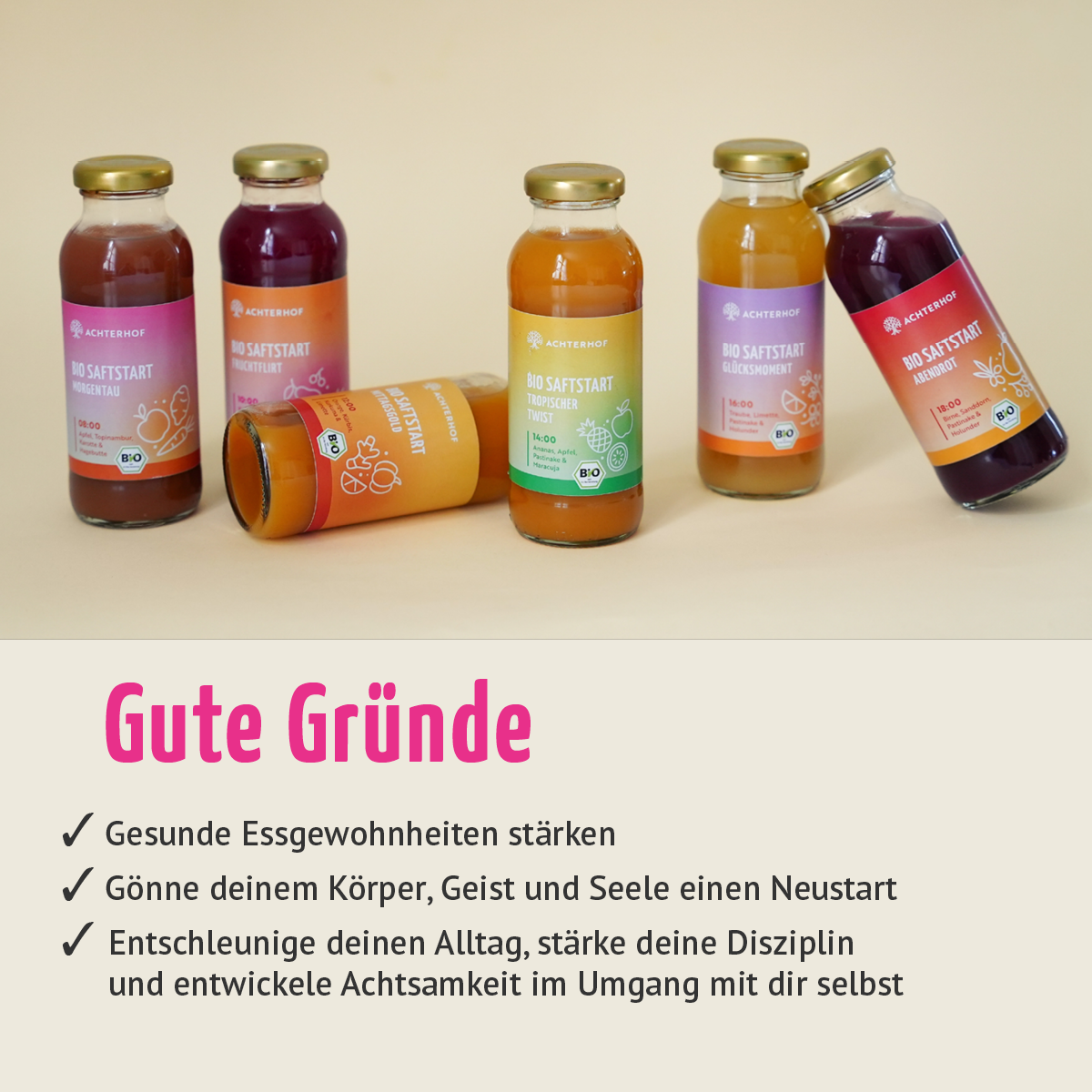 Saftstart Bio Fastenkur 5 Tage (30 Flaschen)