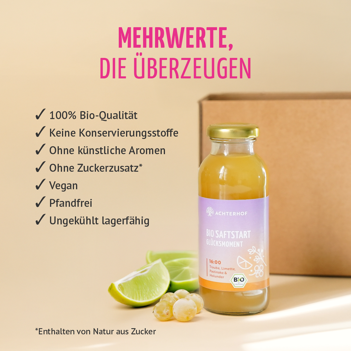 Saftstart Bio Fastenkur 3 Tage (18 Flaschen)