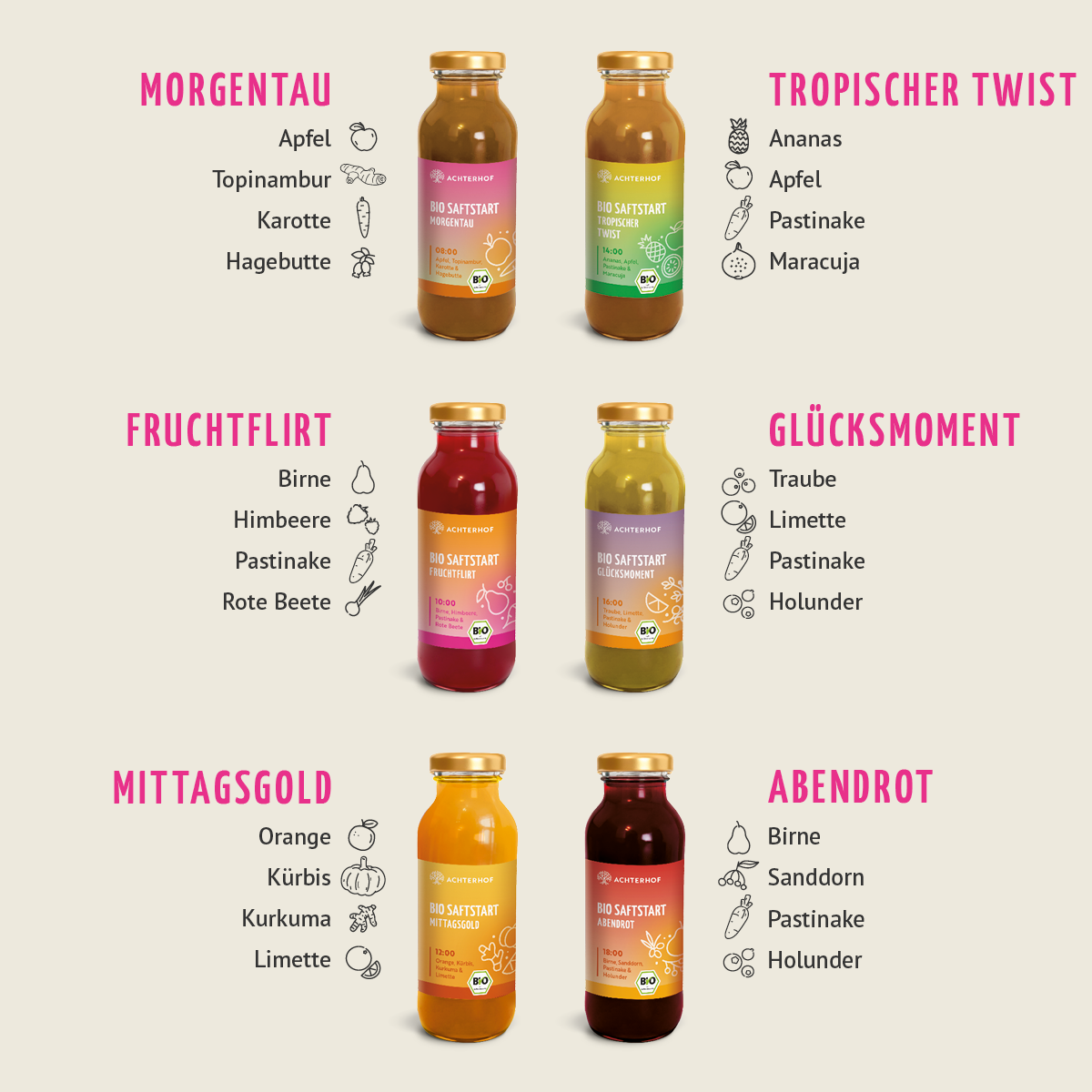 Saftstart Bio Fastenkur 5 Tage (30 Flaschen)