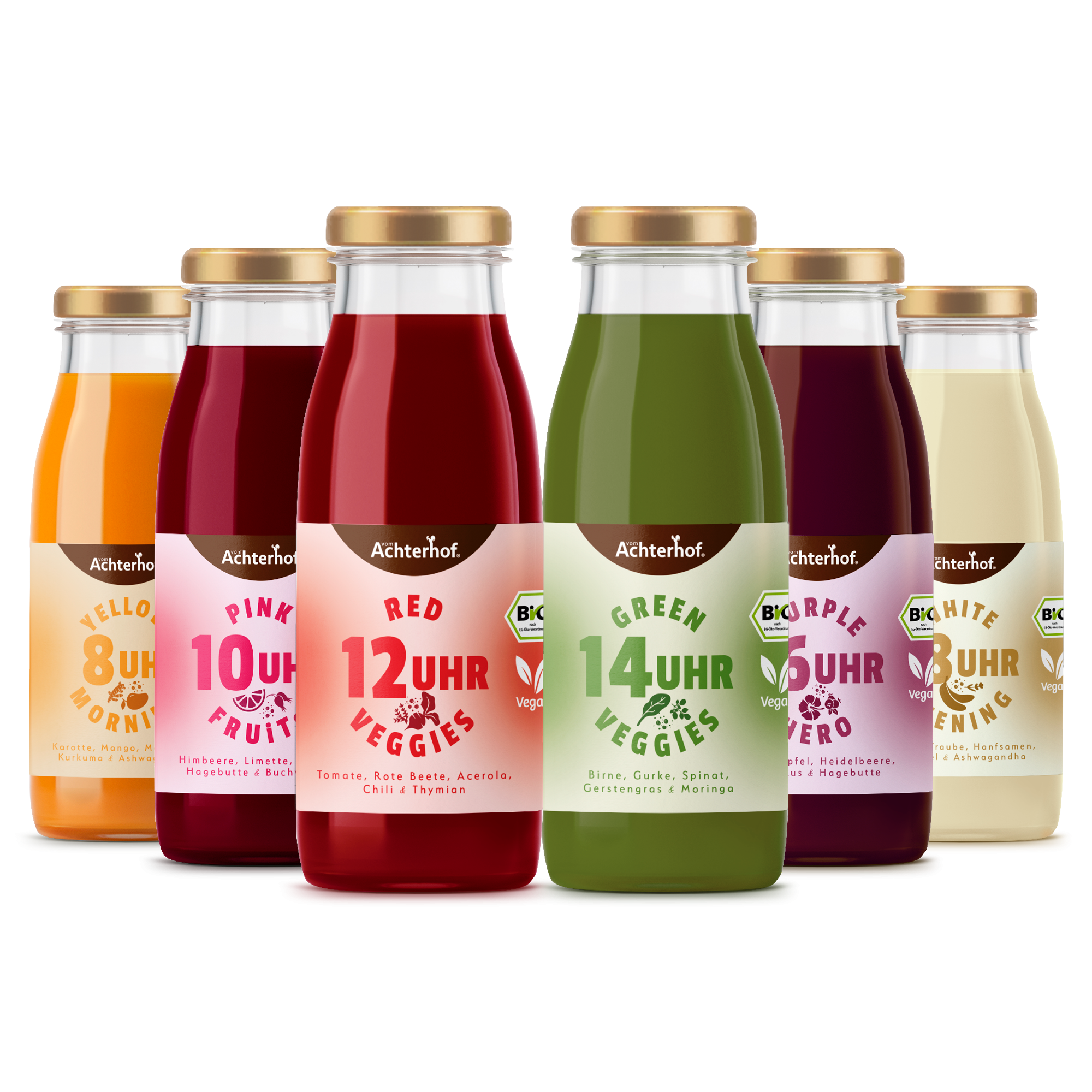 Saftzeit Bio Fastenkur 5 Tage (30 Flaschen)