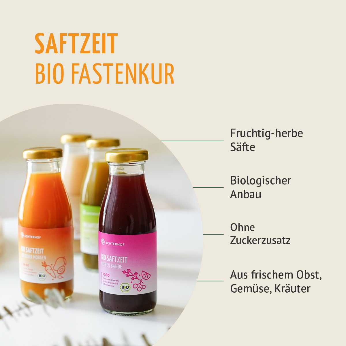 Saftzeit Bio Fastenkur 5+1 Tag gratis