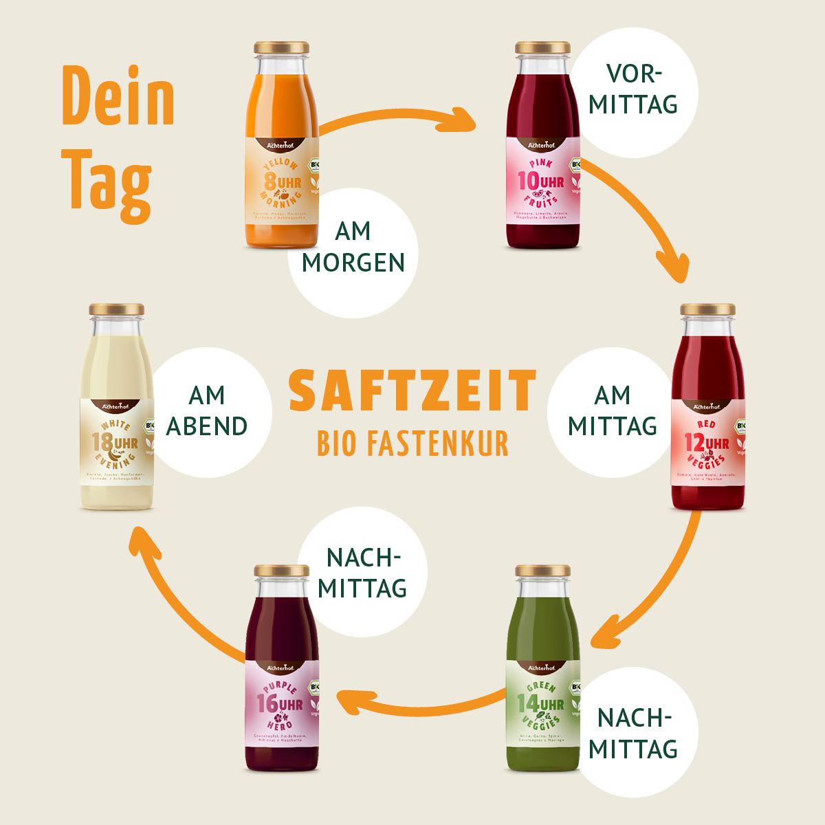 Saftzeit Bio Fastenkur 7 Tage (42 Flaschen)