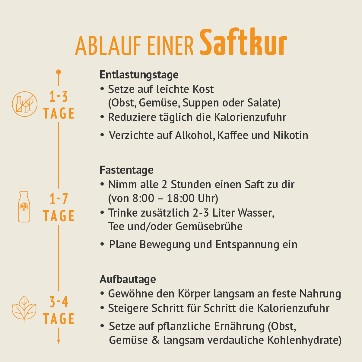 Saftzeit Bio Fastenkur 7 Tage (42 Flaschen)