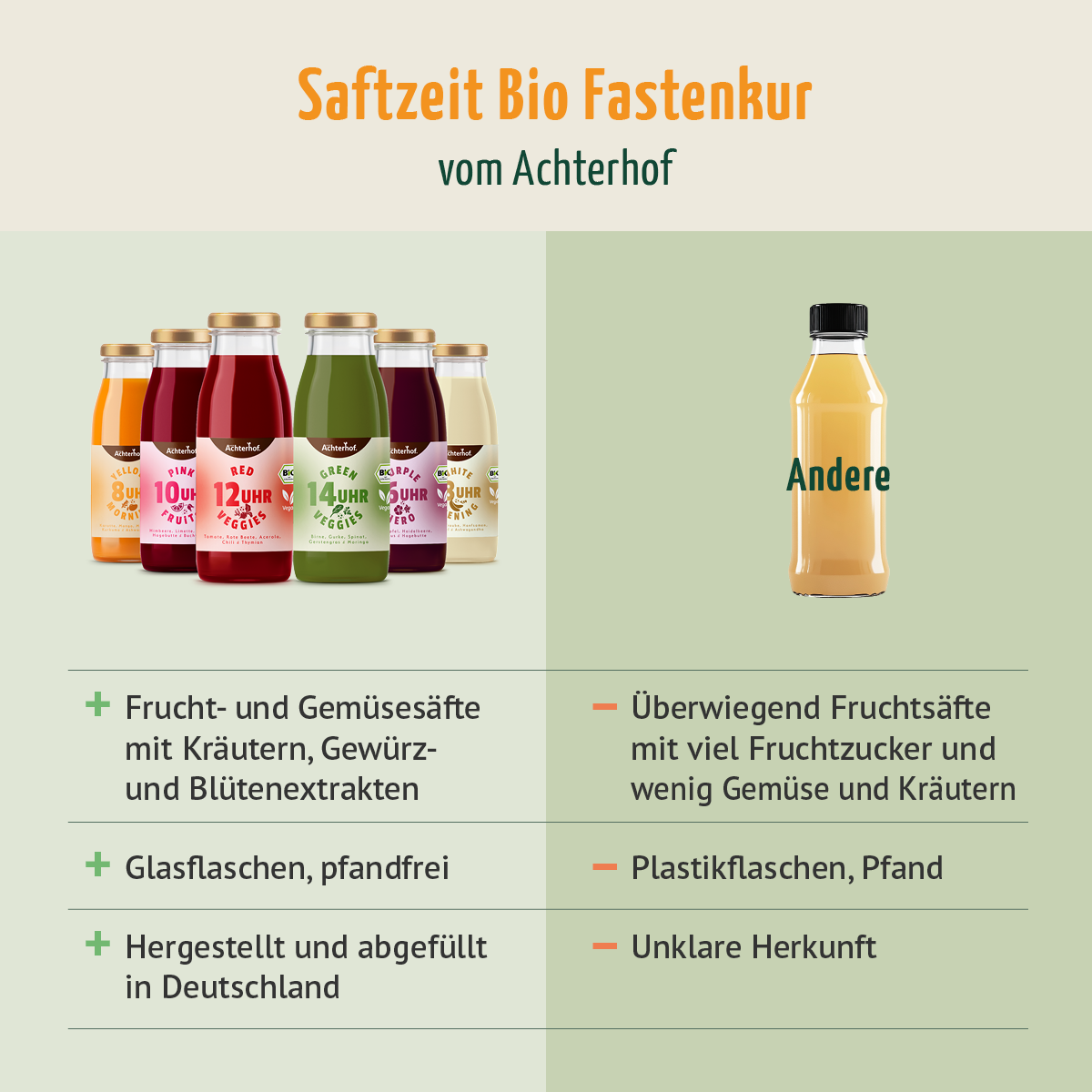 Bio Fastenkur 1 Tag (6 Flaschen) (Test)