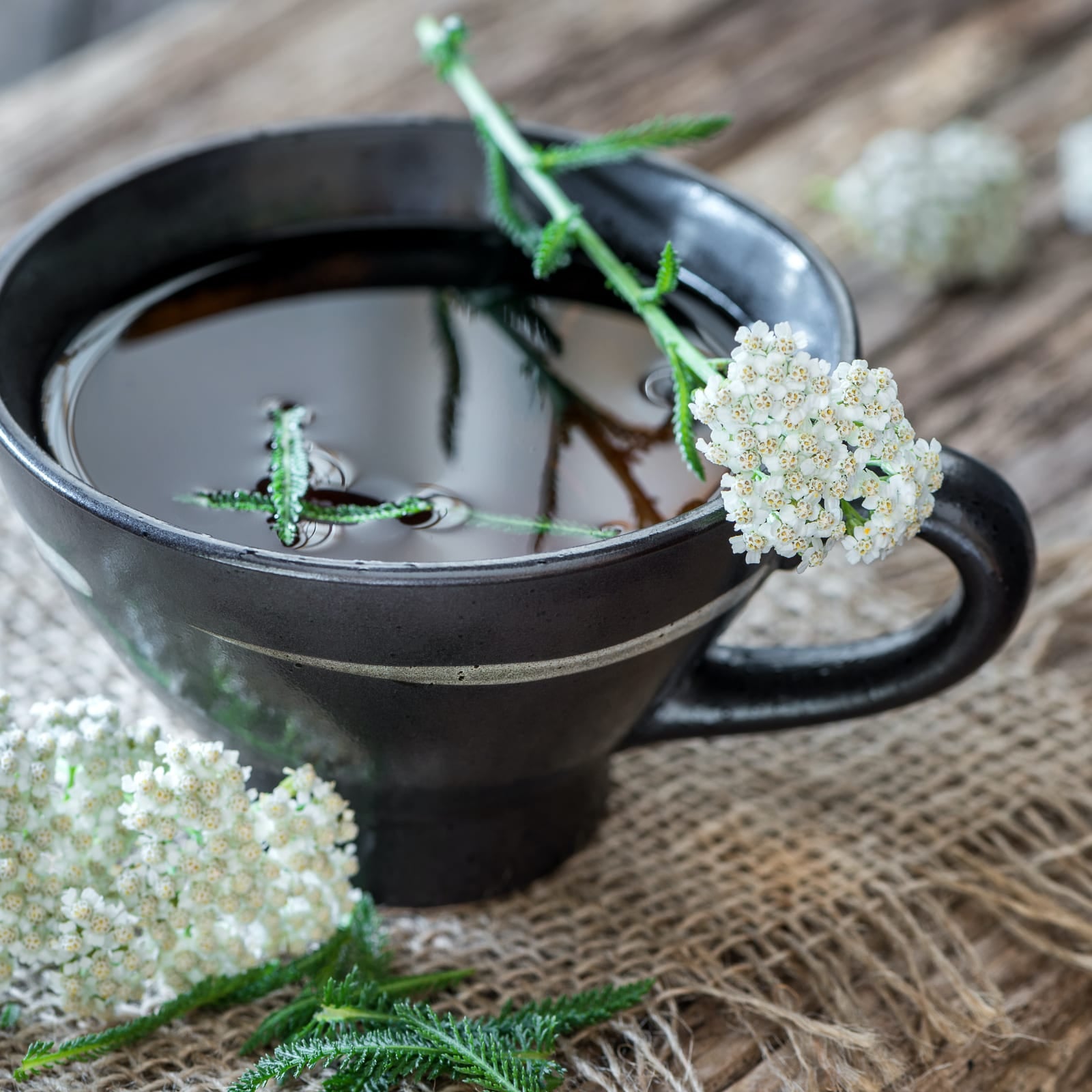 Schafgarbenkraut geschnitten (250g)