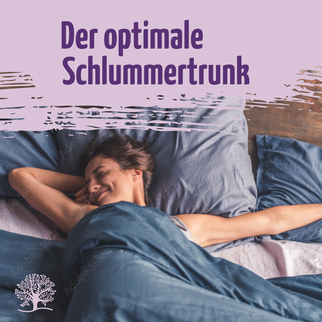 Mond Milch Mischung 3er Bio Set + Frischhaltedosen